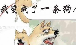 醉心吃瓜小说免费阅读,醉心吃瓜小说免费阅读大揭秘